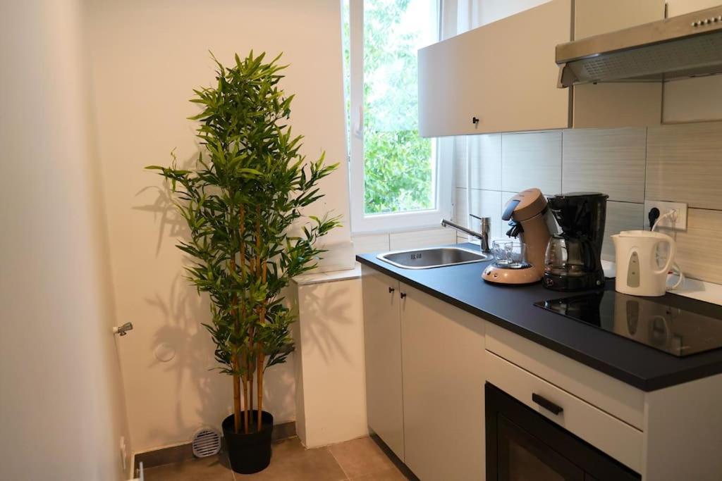 Rm-1 - Appartement F2 Au 1Er Etage Pour 1-3 Pers Mulhouse Dış mekan fotoğraf